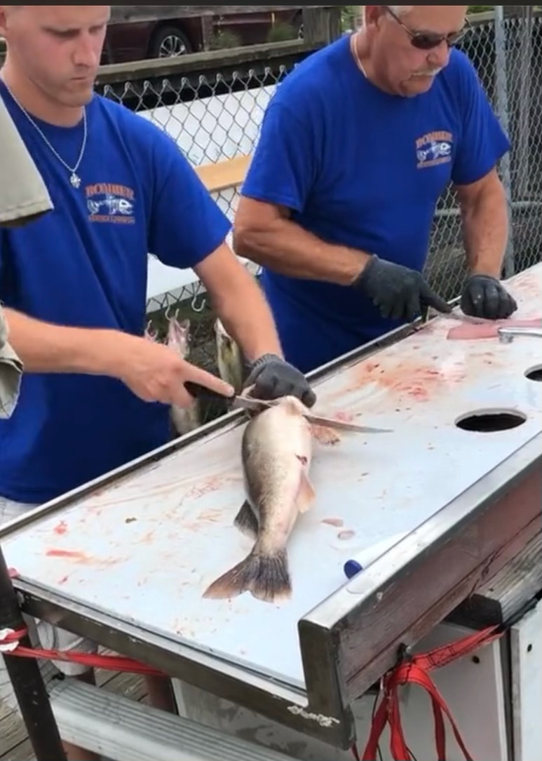 Capt Mike and Lenny cutting walleyes at the dock